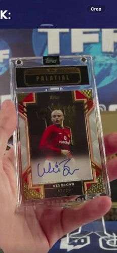 Wes brown topps - brown, palatial