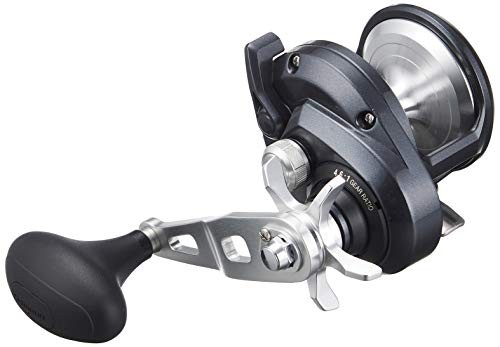 Shimano torium 2000pg right - shimano,