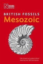 British mesozoic fossils - fossils, by