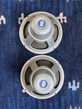Vox Silver Bulldog 12”