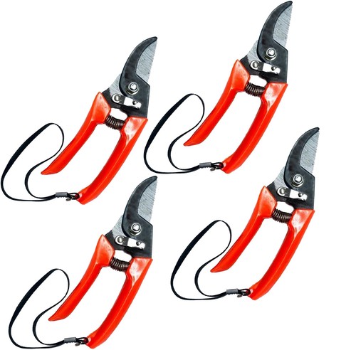 Gardening bypass pruning - gardening,