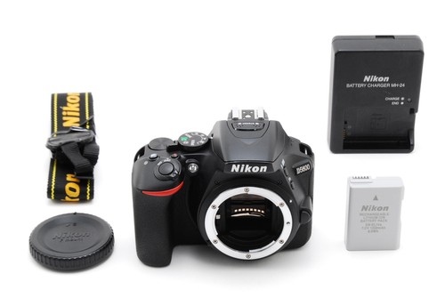 Shutter count 3101 top - shutter,