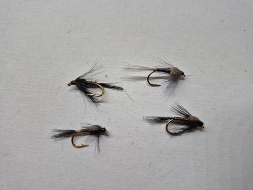 Black quill nymph size 12s - 12s, ×