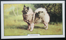 KEESHOND  Barge Dog  Vintage