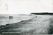 Horse & Cart on Hest Bank & Bolton Shore, Morecombe,Posted 1919.            B774