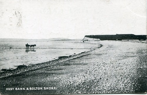 Horse cart hest bank - &,