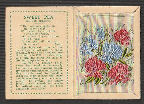 Kensitas silk flower medium - silk,