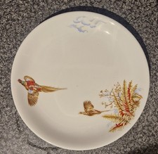 Barratt's Delphatic White