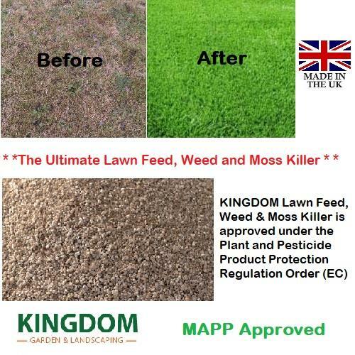 Lawn feed weed - lawn, moss