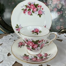Pretty Queen Anne Bone China