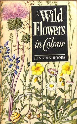 Wild flowers colour - in, by