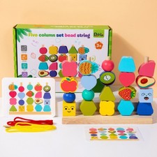 Montessori Wooden Toys for 2 3