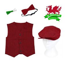 Welsh Traditional Garment 4PCS Set - Boys Costume + Leek Brooch - St David's Day