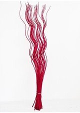 Spiral Corkscrew Curly Willow Twigs Bunch Cherry Red Bright Bold Tall Ting 120cm