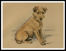 BORDER TERRIER DOG ART PRINT