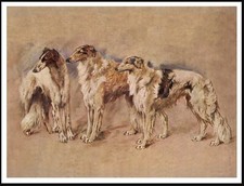 BORZOI DOGS LOVELY VINTAGE