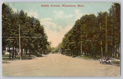 Wyandotte mich biddle - wyandotte,,