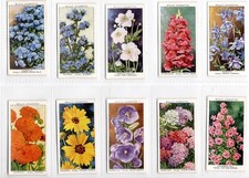 Garden Flowers Cigarette Cards