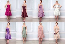 BHS Eve Bridesmaid Dress Dusky Pink Fuchsia Merlot Lavender Champagne 