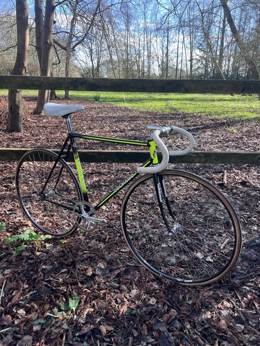 Vintage steel track bike - steel,