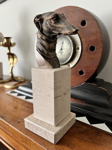 Greyhound whippet lurcher dog - whippet,