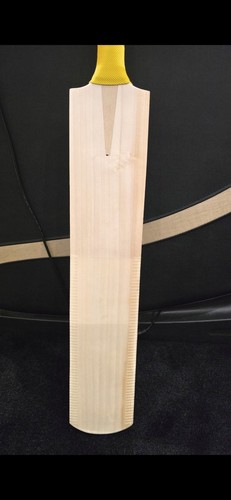 H4l hell leather - h4l, bat