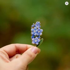 Forget not flower enamel - forget-me-not,