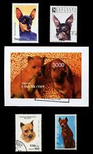 MINIATURE PINSCHER MIN PIN DOG