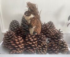 Large Natural Pine Cones and Squirrel