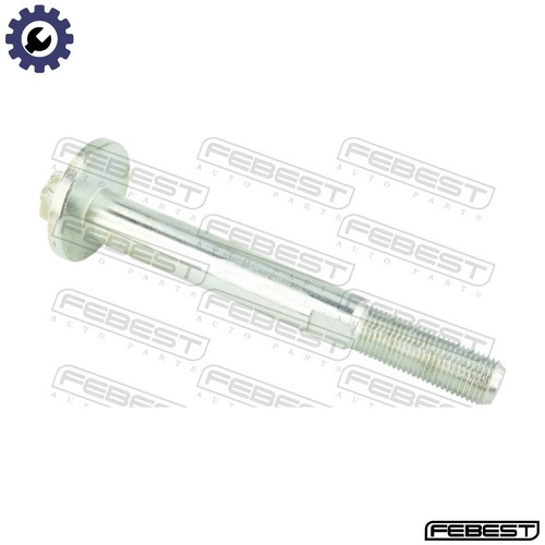 Camber correction screw - correction,