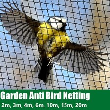 Anti bird netting - netting, garden