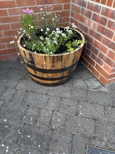 Refurbished oak whiskey - refurbished, barrel
