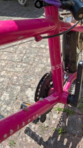 Frog lightweight kids bike - frog, 55