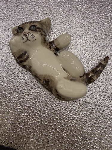 Winstanley tabby cat size - winstanley, d