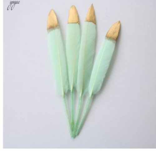 Mint green duck feathers with - mint,