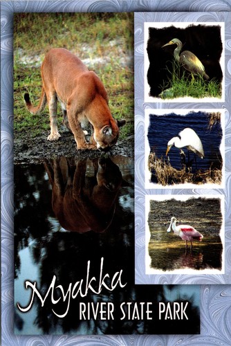 Myakka river state park - myakka,