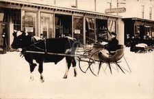Horse Drawn Sleigh & Stores