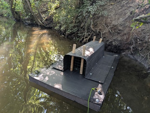 Mink raft wildlife - &,