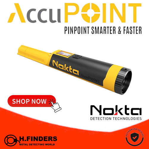 Nokta accupoint pointer - accupoint,