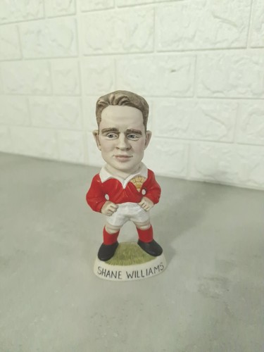 Shane williams mini grogg - williams,