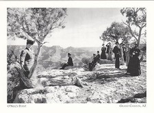 Grand Canyon ONeils Point modern Postcard (P014)