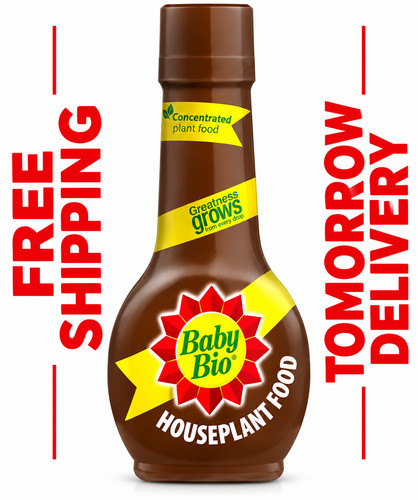 Houseplant food concentrate - houseplant,