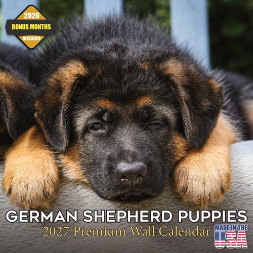 German shepherd pups 2027 - shepherd,