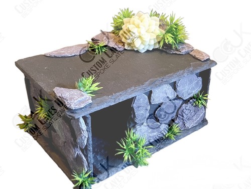 Leopard gecko slate - leopard,