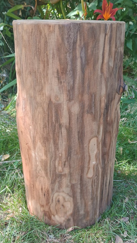 Tree stump seat - , table