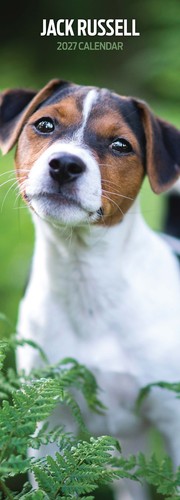 Jack russell 2027 slim - jack,