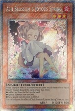 Yu-Gi-Oh! | Platinum Secret