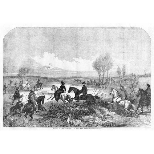 Hunting magpie hawking ancient - hunting,
