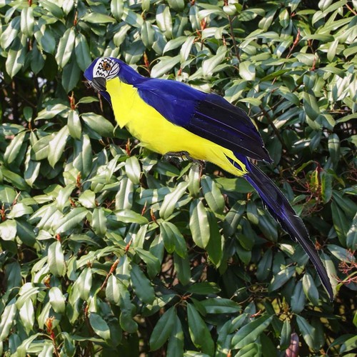 Lifelike macaw artificial - macaw,