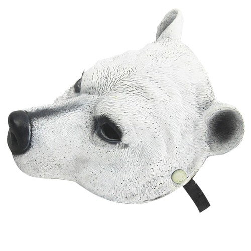 Realistic polar bear - realistic,